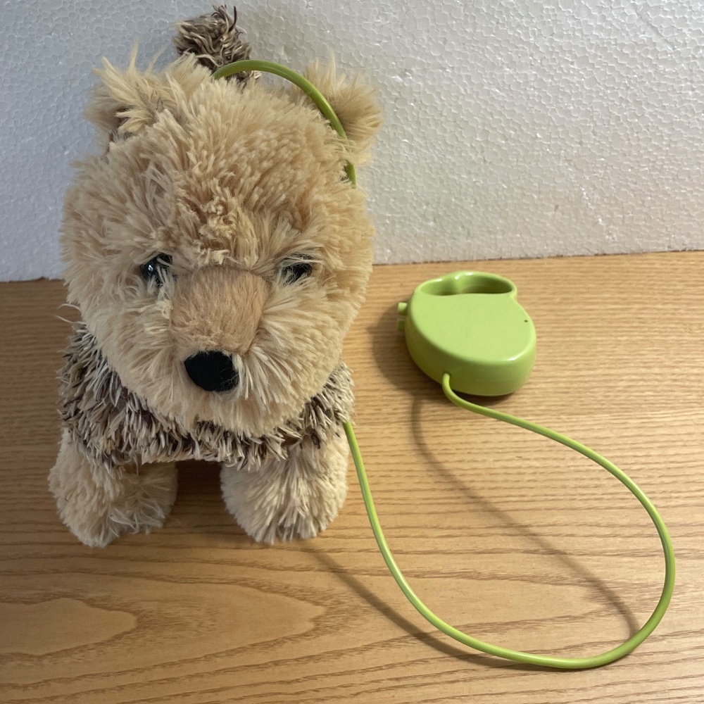 Walmart Yorkshire Terrier Yorkie Dog Walk Barks Green Leash Remote Control VIDEO